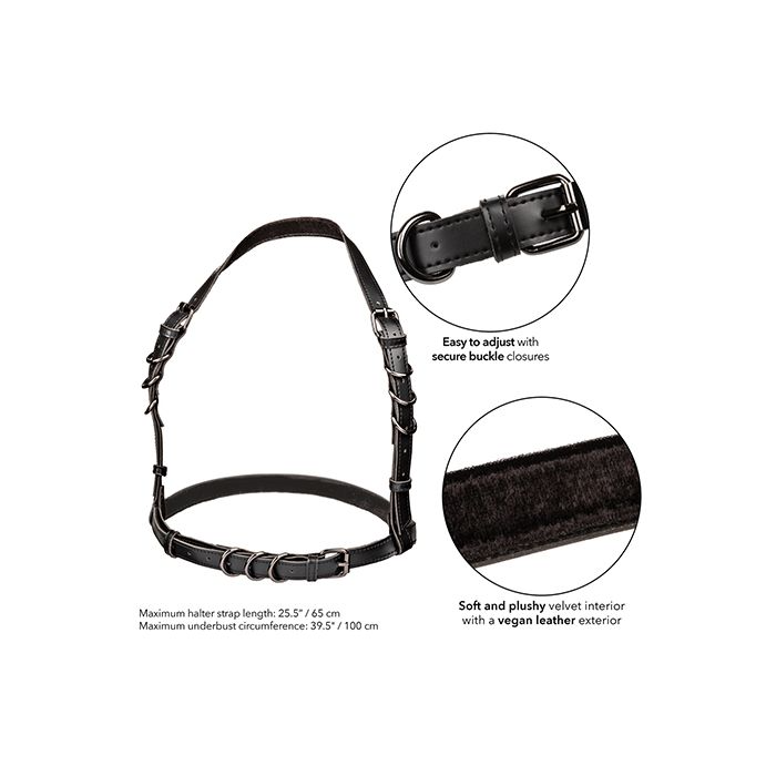 Halter Buckle Harness