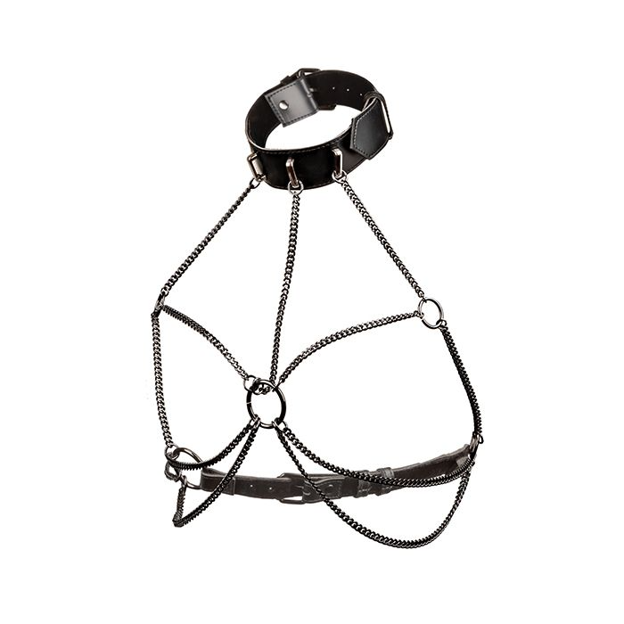 Multi Chain Collar Harness