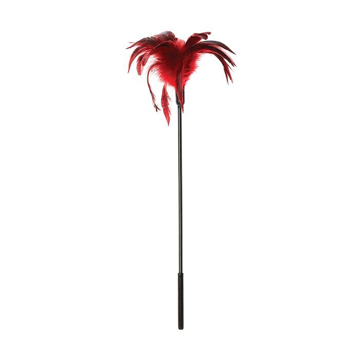 Body Tickler Starburst Feather